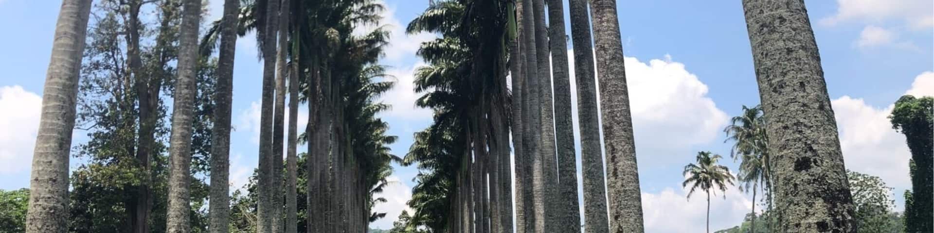 Some cool places to get photos in the Royal Botanical Gardens - a pleasant way to spend a few hours. The bats were incredible.