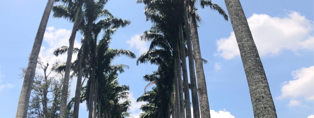 Some cool places to get photos in the Royal Botanical Gardens - a pleasant way to spend a few hours. The bats were incredible.