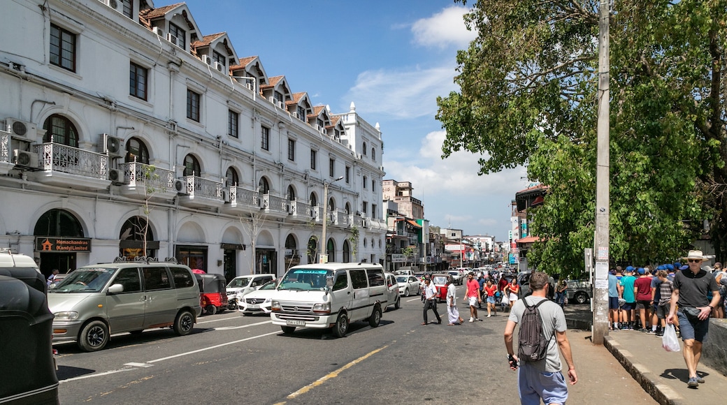 Kandy showing street scenes