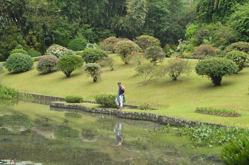 Royal Botanical Garden, Peradeniya is situated about 5.5 km to the west from the city of Kandy in the Central Province of Sri Lanka and attracts 2 million visitors annually.Royal Botanic Gardens Peradeniya Official Guide Map 2013 It is renowned for its collection of a variety of orchids. It includes more than 4000 species of plants, including of orchids, spices, medicinal plants and palm trees. Attached to it is the National Herbarium of Sri L.... The total area of the botanical garden is 147acre, at 460 meters above sea level, and with a 200-day annual rainfall. It is managed by the Division of National Botanic Gardens of the Department of Agriculture. [Robert Heath Lock] was the Assistant Director of the Peradeniya Botanical Gardens, in Sri Lanka, around 1910.

#nationalpark #srilanka #traveler 