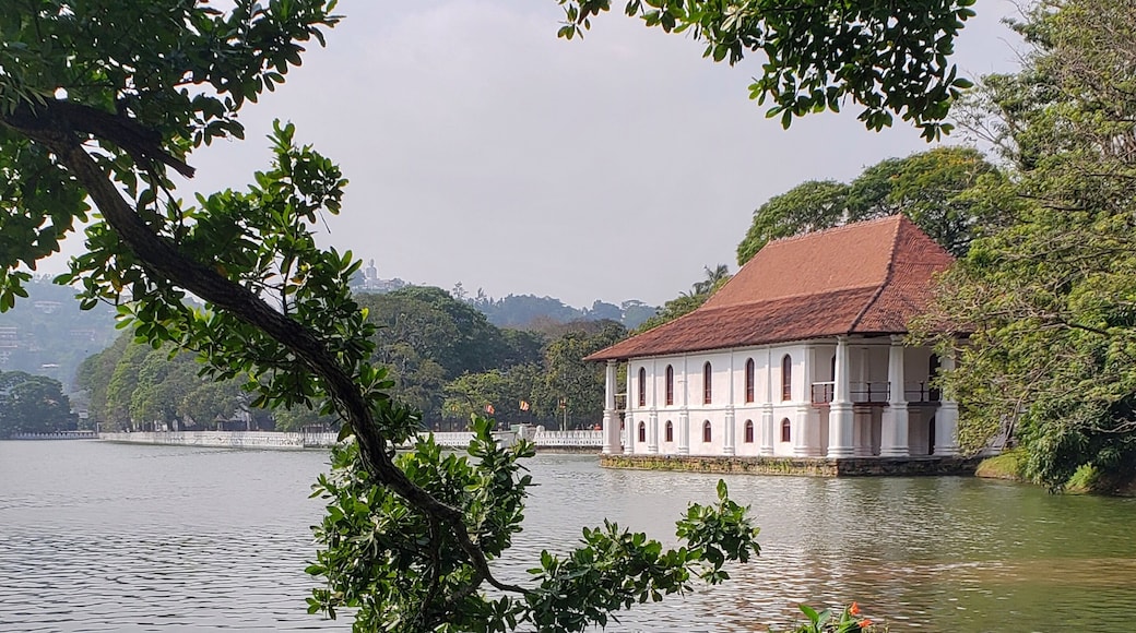 Two reasons to come to Kandy: 1, to walk around this lake, and 2, to visit the temple with the sacred tooth relic