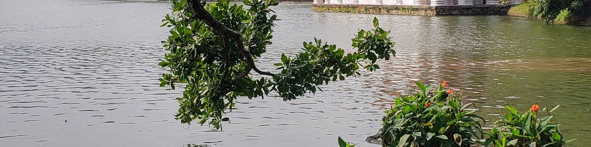Two reasons to come to Kandy: 1, to walk around this lake, and 2, to visit the temple with the sacred tooth relic