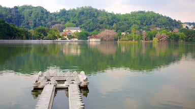 Kandy featuring a house and a lake or waterhole