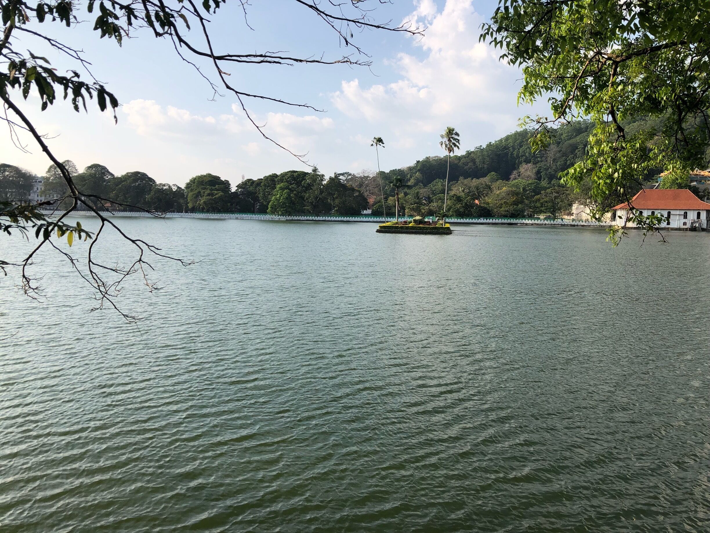 Strolling round the lake. So peaceful on your left and manic traffic on your right. 