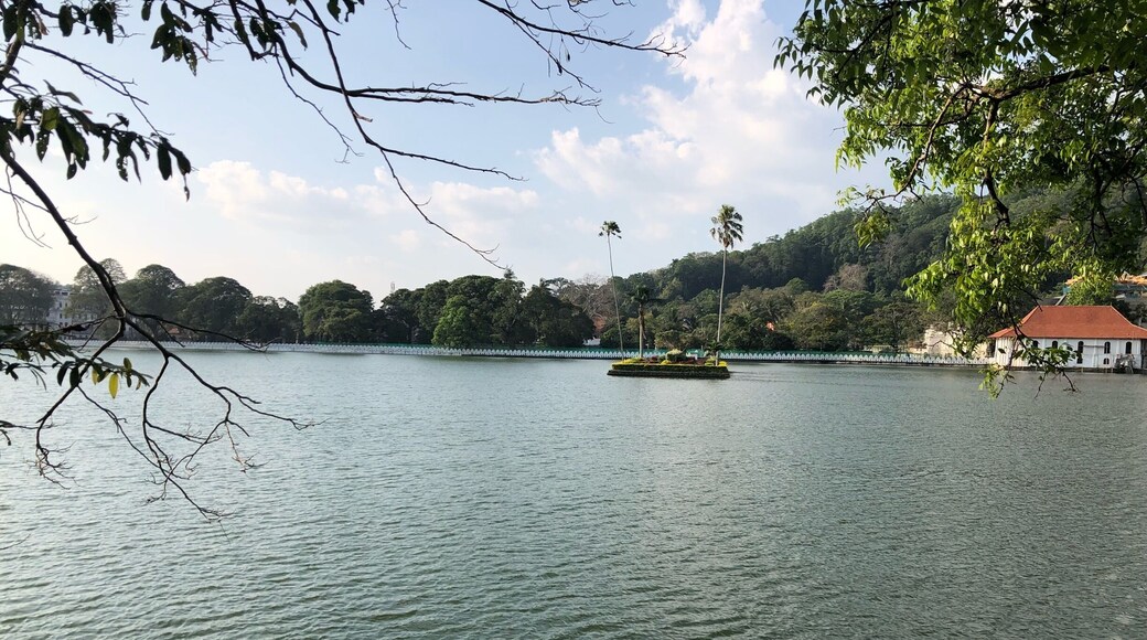 Strolling round the lake. So peaceful on your left and manic traffic on your right.