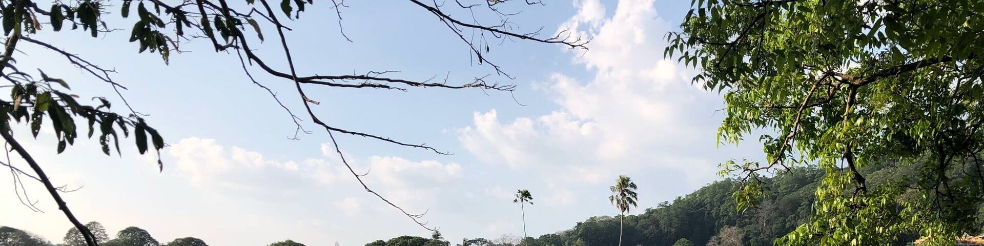 Strolling round the lake. So peaceful on your left and manic traffic on your right.