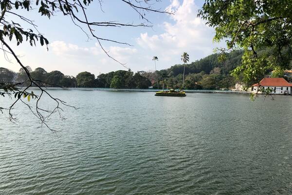 Strolling round the lake. So peaceful on your left and manic traffic on your right.