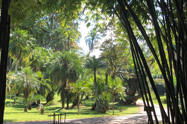 Botanical garden in Kandy