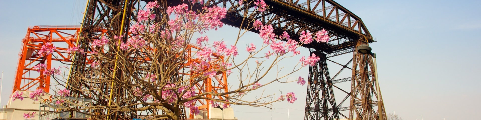 Avellaneda ofreciendo un puente y flores