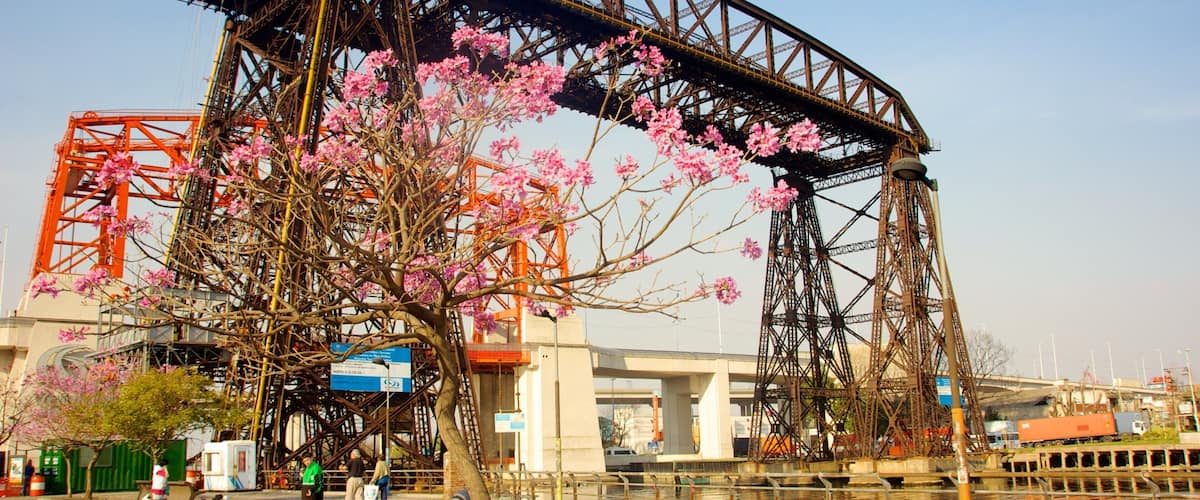 A large steel bridge with pink cherry blossoms in the foreground.