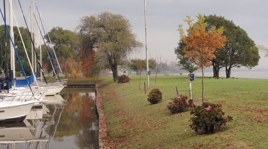 You can find a lot of elegants clubs