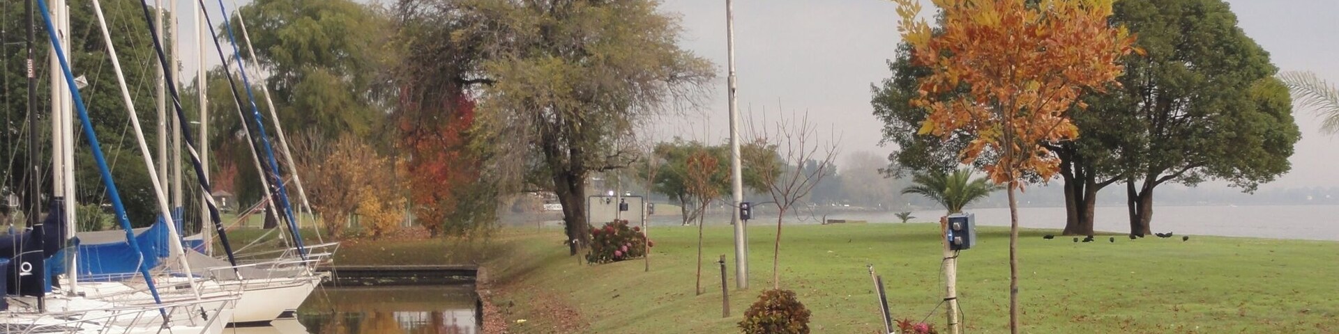 You can find a lot of elegants clubs