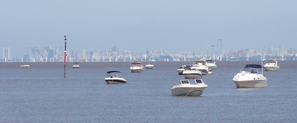 A marina with several boats docked and a city skyline in the background.