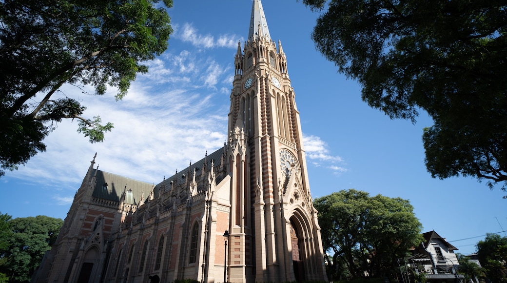 A tall, ornate church with a spire, surrounded by trees.