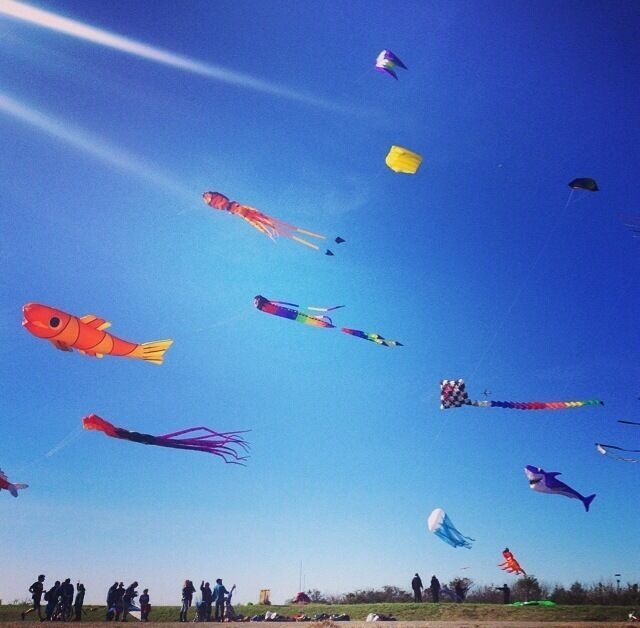 Barriletes - Paseo de la costa / Kites - Riverside walk