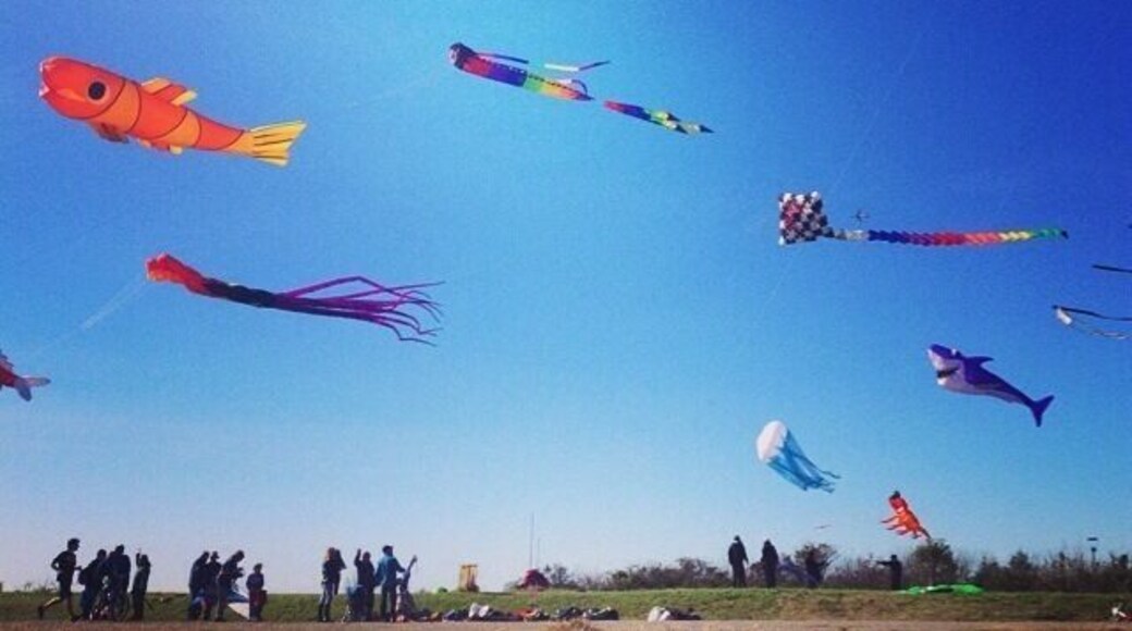 Barriletes - Paseo de la costa / Kites - Riverside walk