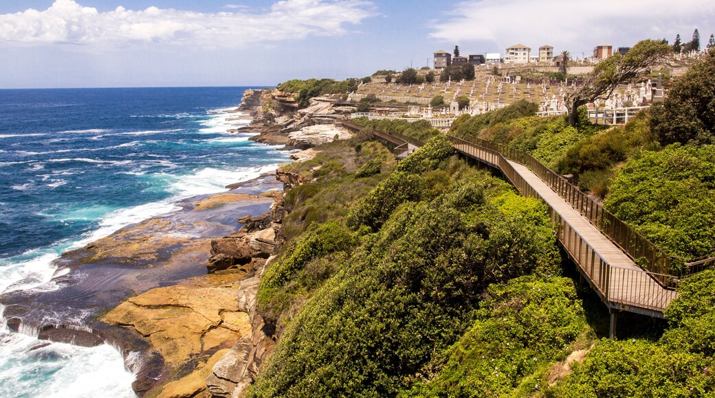 Bondi to Coogee Coastal walk, Sydney, Australia