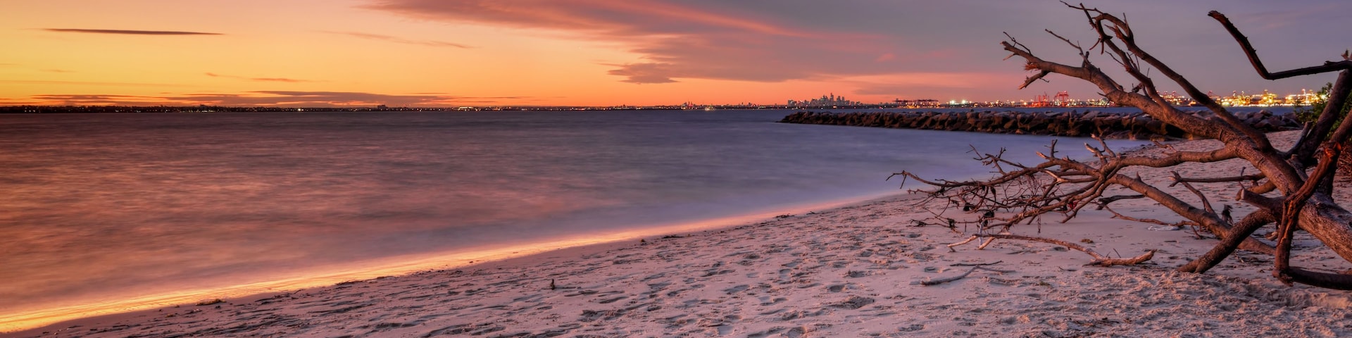 A beach with footprints, a fallen tree, and a city skyline in the background.