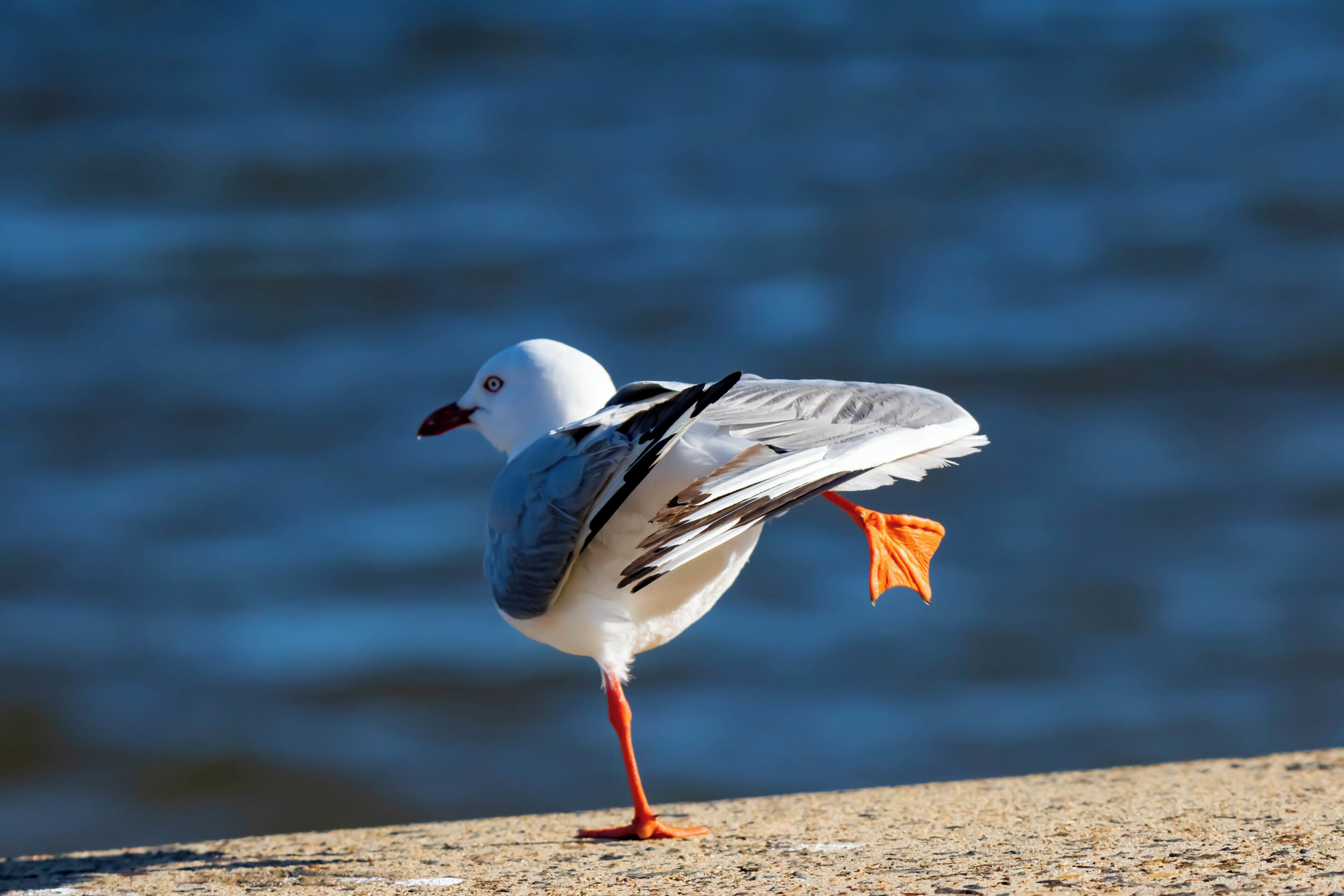 Time for s little stretch whilst watching planes take off at Sydney Airport.