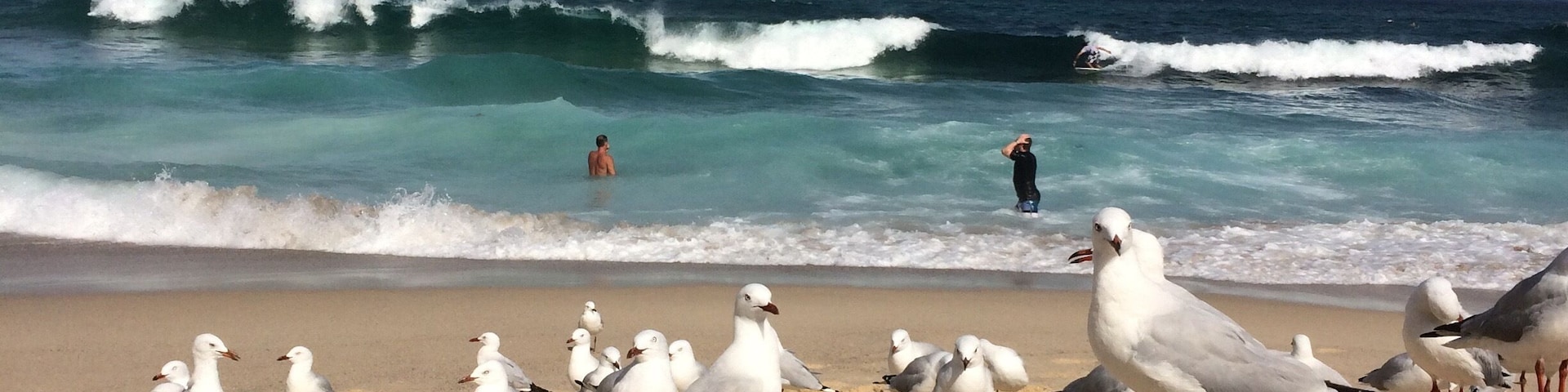 Less people, more waves, Maroubra beach is amazing! Just a few Km South of the famous and overcrowded Coogee Beach!