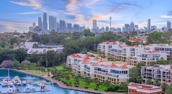 Leichhardt