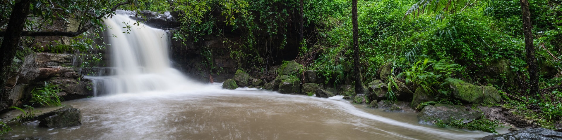 Strong flow at Lilly Pilly waterfall after rain, Lane Cove, NSW, Australia.