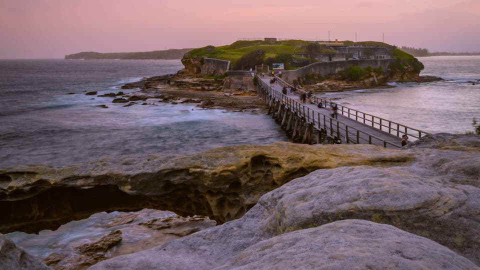 A coastal scene with a pier leading to a grassy island with buildings.