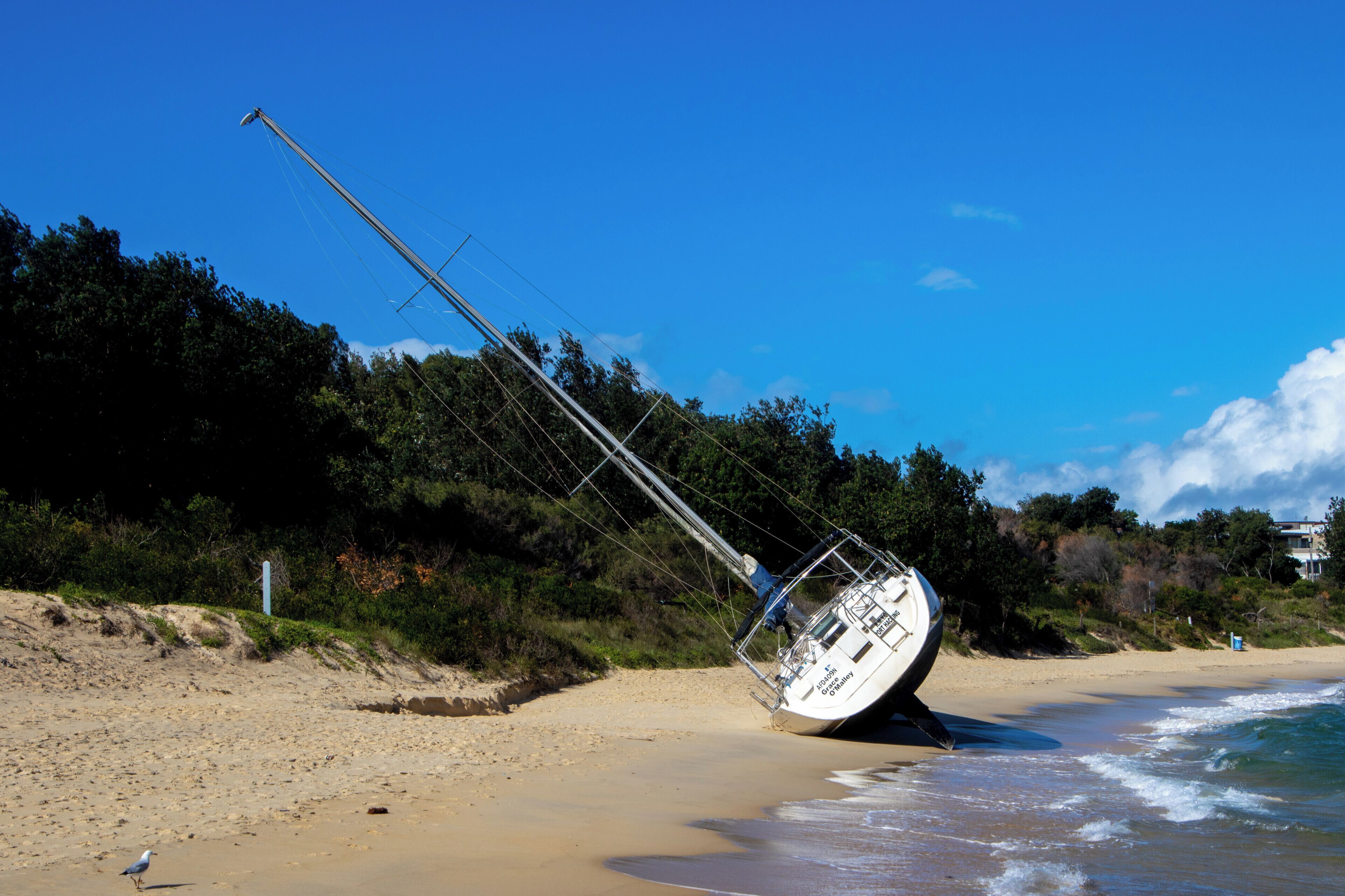 After some large sea's