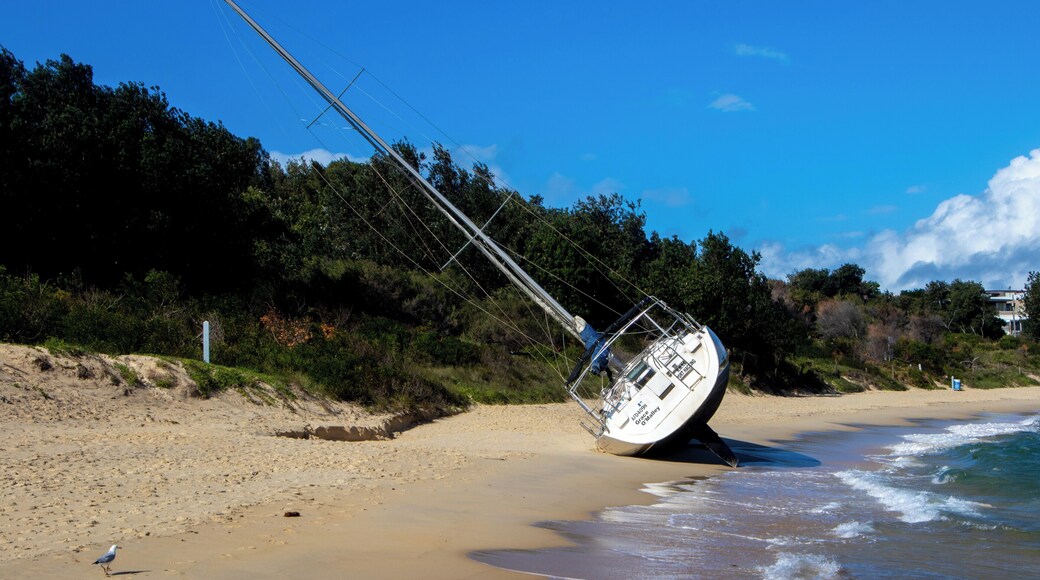 After some large sea's