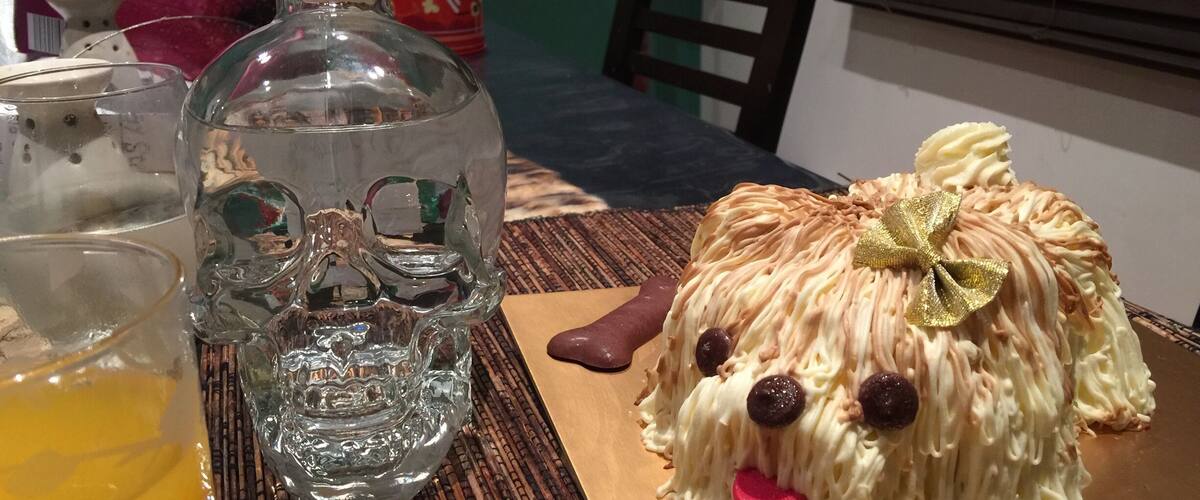 White Chocolate Puppy Cake and Dan Aykroyd's Crystal Skull Vodka #delicious