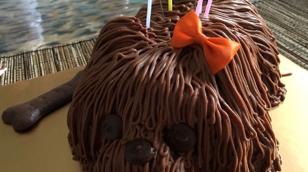 Chocolate Mousse Puppy Cake from Breadtop #delicious