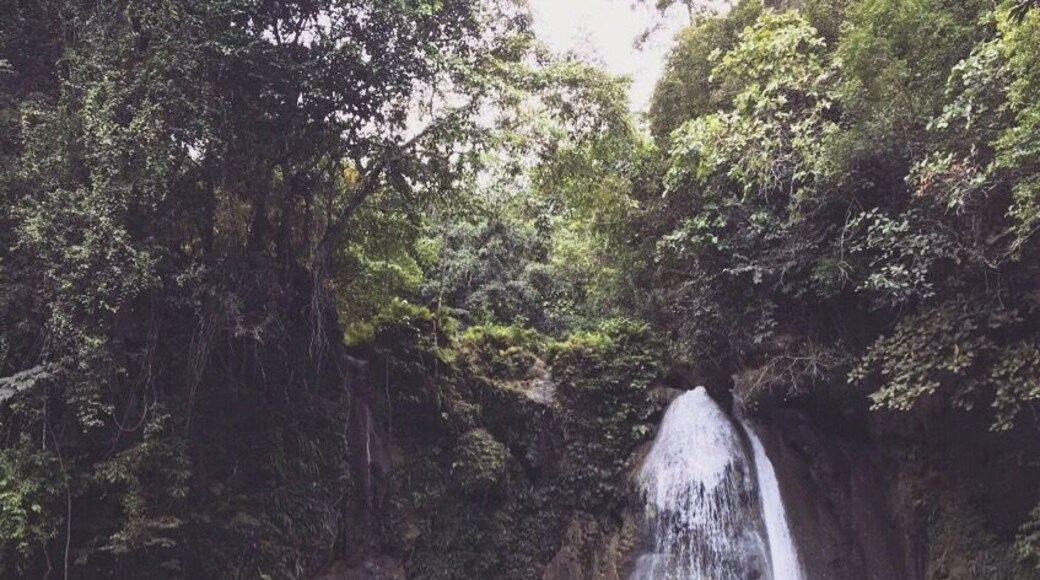 Chasing waterfalls in Badian, Kawasan Waterfalls. #LifeAtExpedia