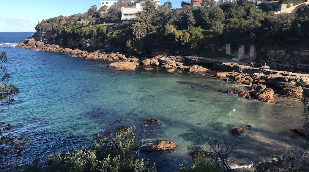 Still the most beautiful sight. Taken on Cougee-Bondi walking path #sydney #nature