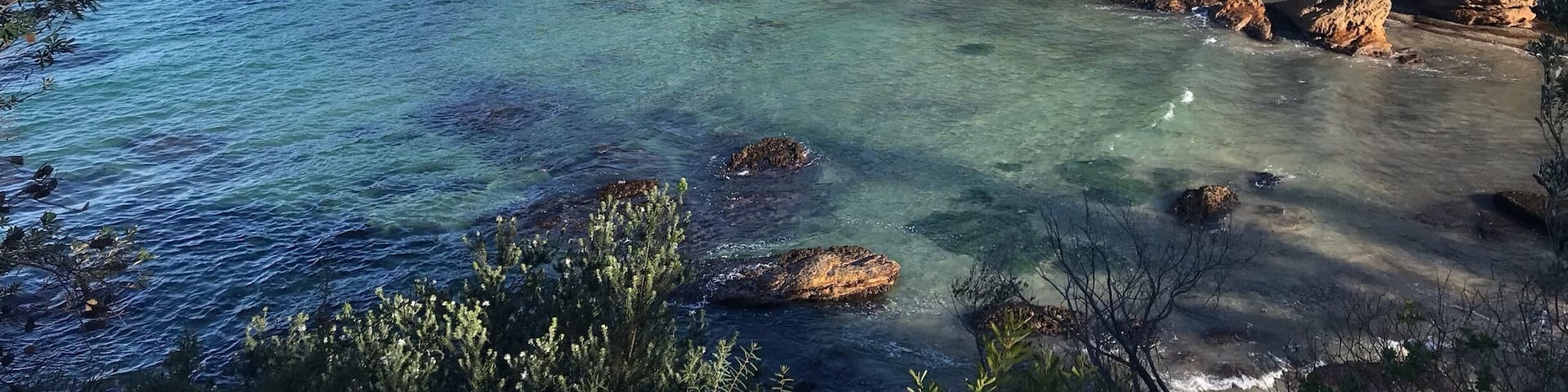 Still the most beautiful sight. Taken on Cougee-Bondi walking path #sydney #nature