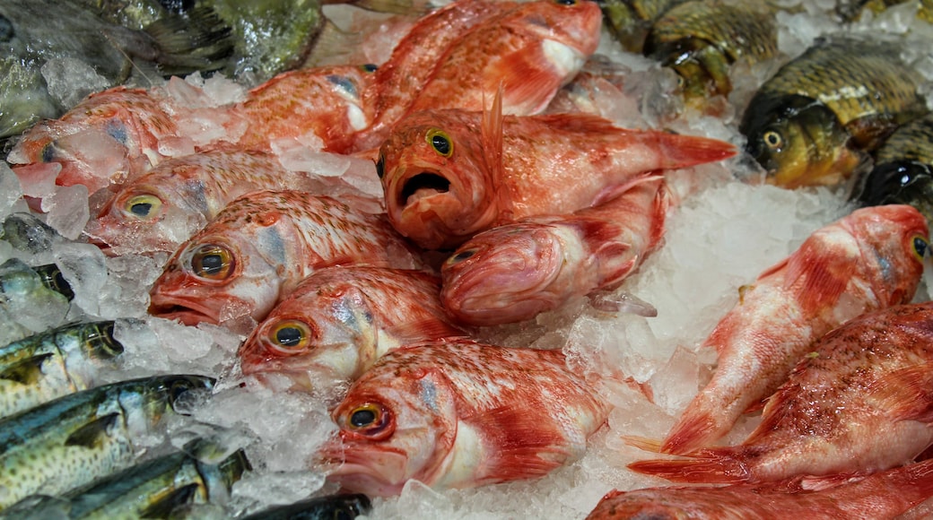 This little guy wasn't too excited to be a part of the largest fish market in the southern hemisphere. Though I got some of the best seafood I've ever had here.