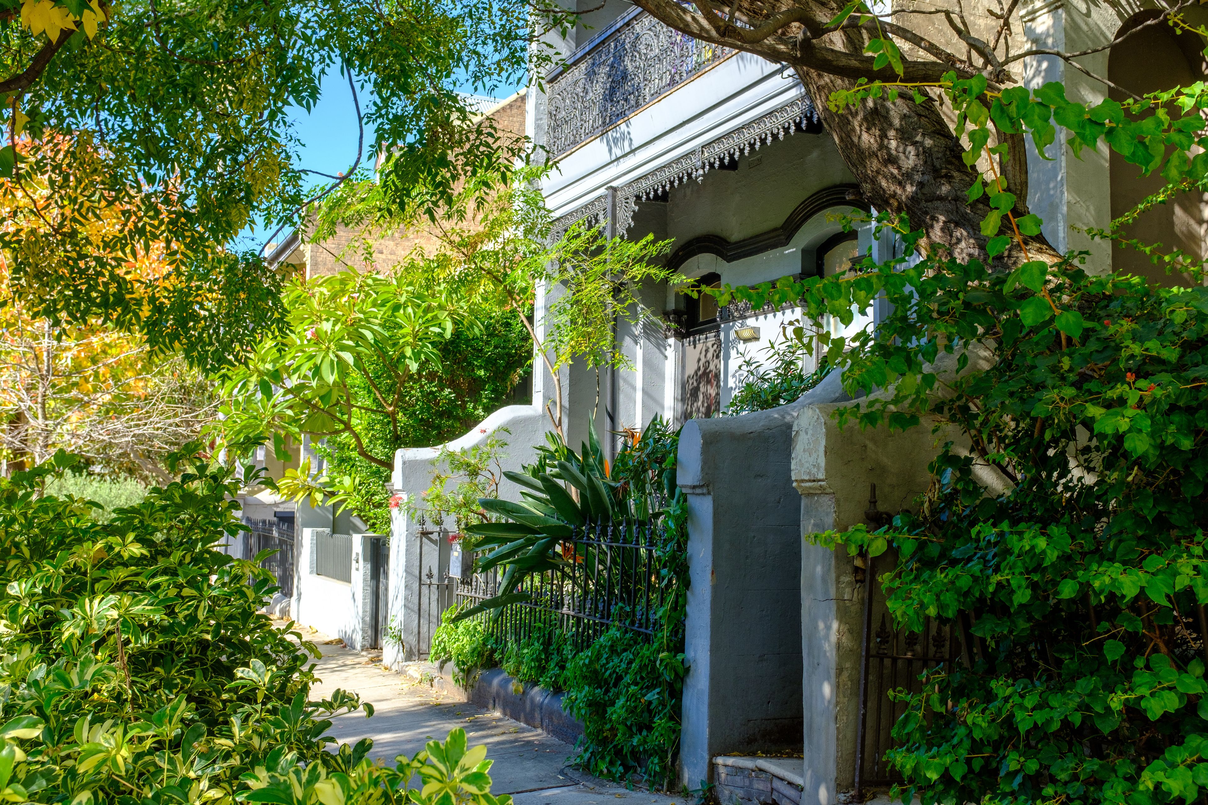A narrow alley lined with lush greenery and traditional architecture.
