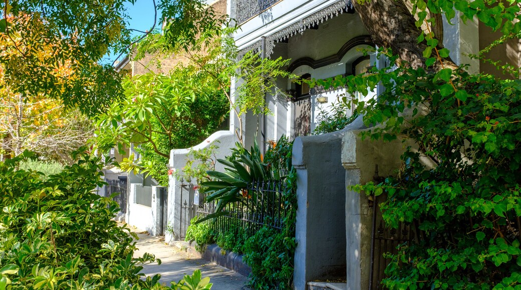 A narrow alley lined with lush greenery and traditional architecture.