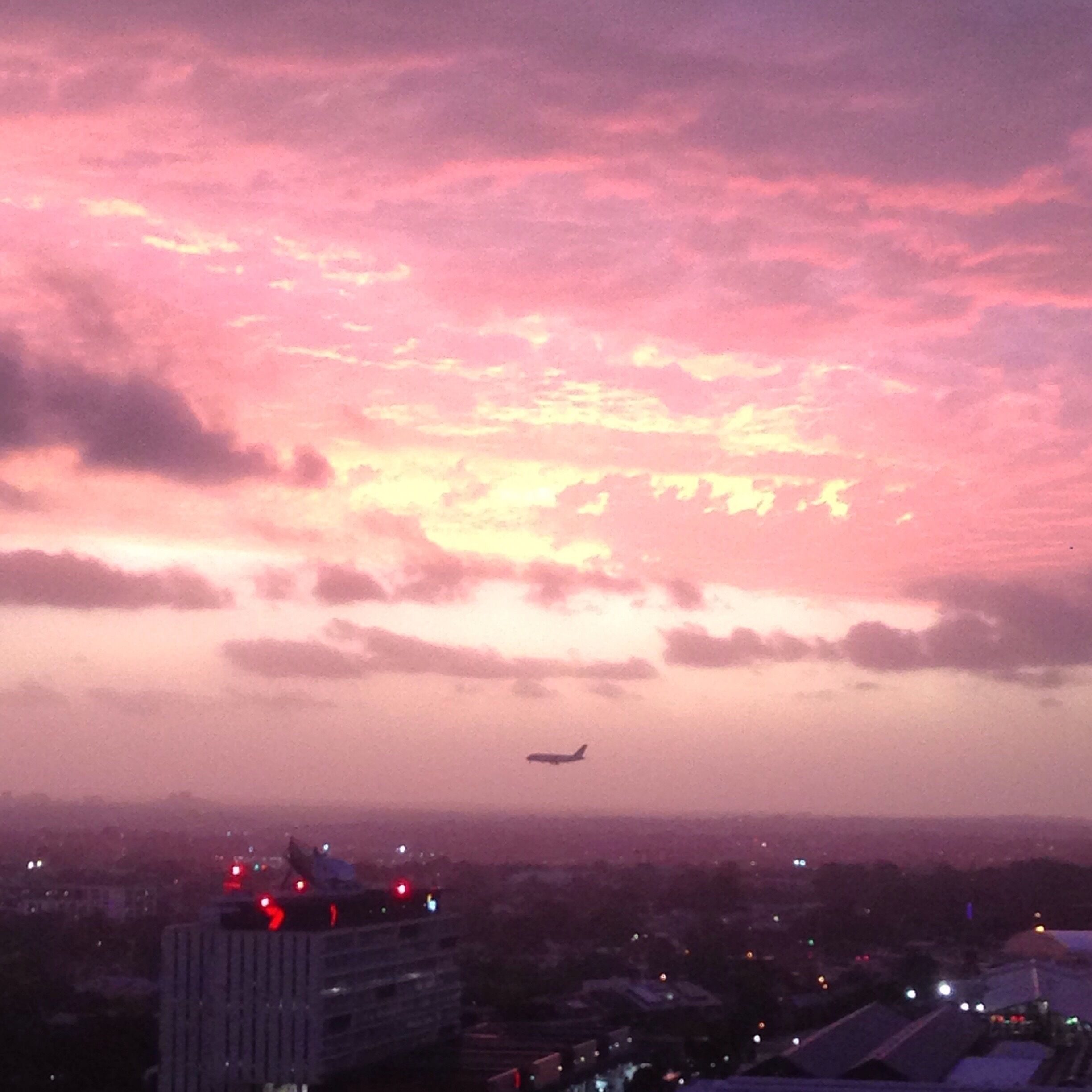 All the views from the comfort of my lounge. 