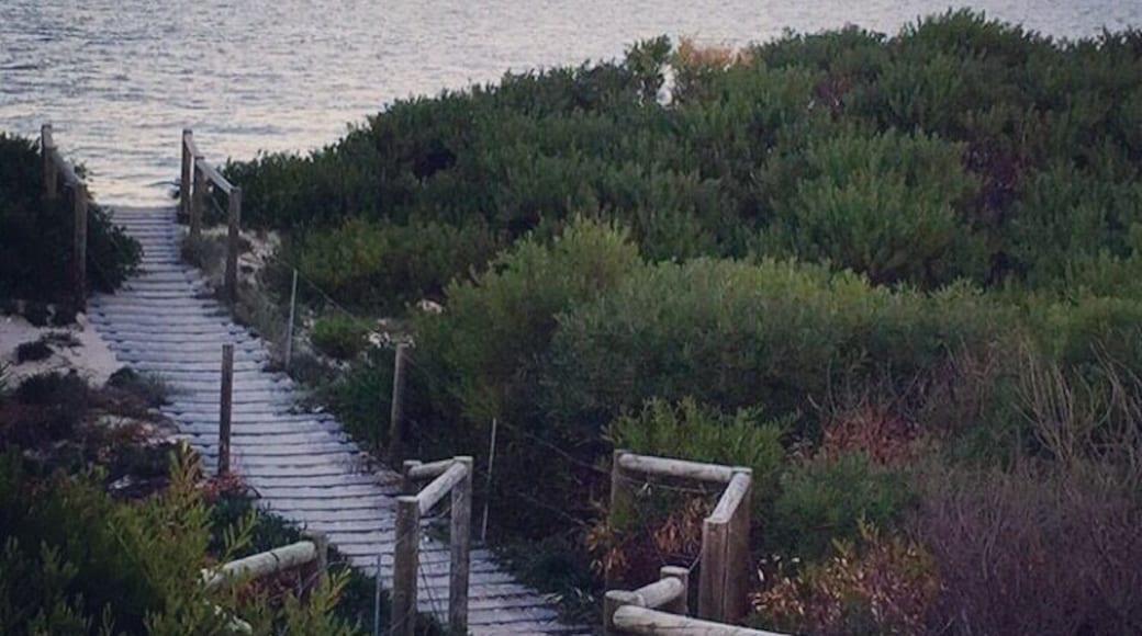 Beautiful location to have a bbq or dine out at the many restaurants along the beach. Great parks and walk along the pier or take your bikes and pets for the best stroll.