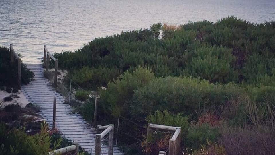 Beautiful location to have a bbq or dine out at the many restaurants along the beach. Great parks and walk along the pier or take your bikes and pets for the best stroll.