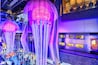 Vivid Sydney has Jellyfish as big as trains!
#chatswoodinterchange #vividsydney @VividSydney @ChatswoodInterchange @willoughbycity #traveltherenext @traveltherenext #troveon #chatswood