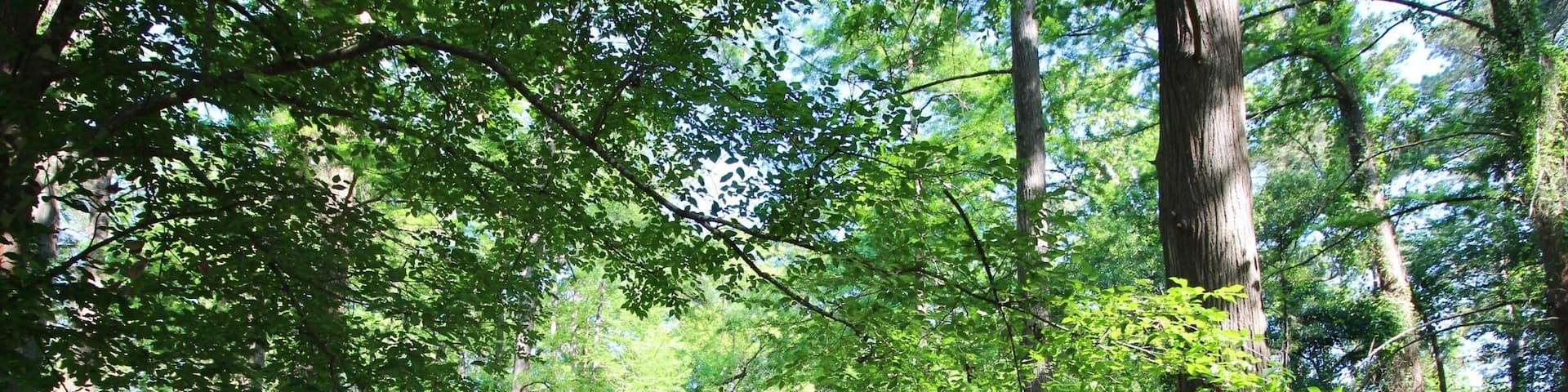 One of the few bodies of water.