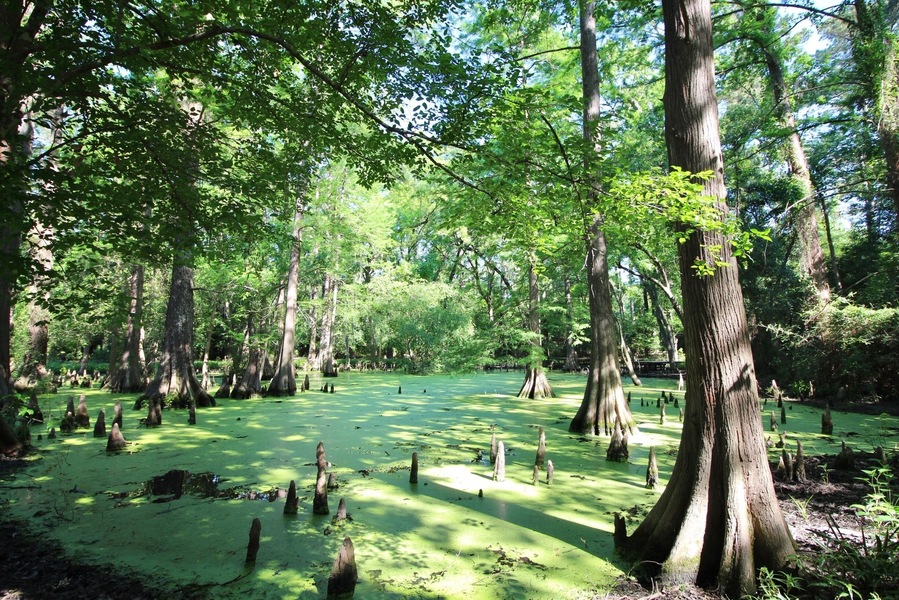 One of the few bodies of water.