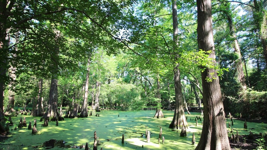 One of the few bodies of water.