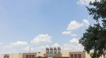 EyeEm Custom Shoots Q4 2018