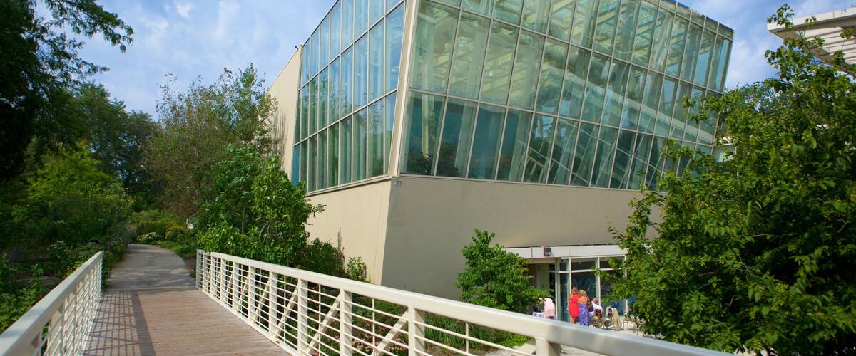 Lakeview featuring modern architecture