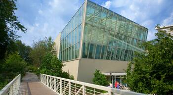 Lakeview featuring modern architecture