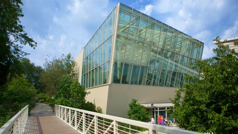 A modern glass building with a wooden walkway leading to it.