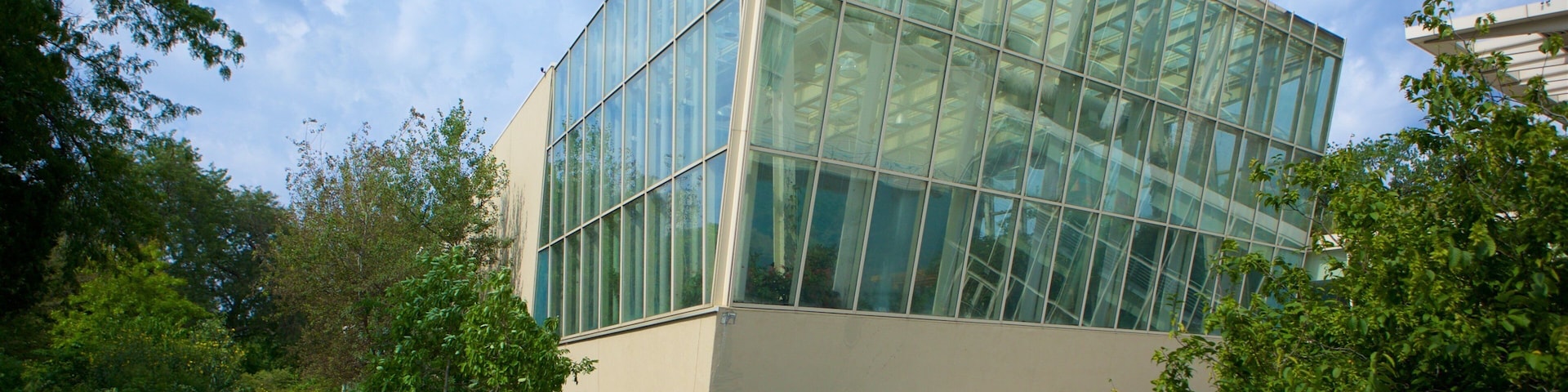 Lakeview featuring modern architecture