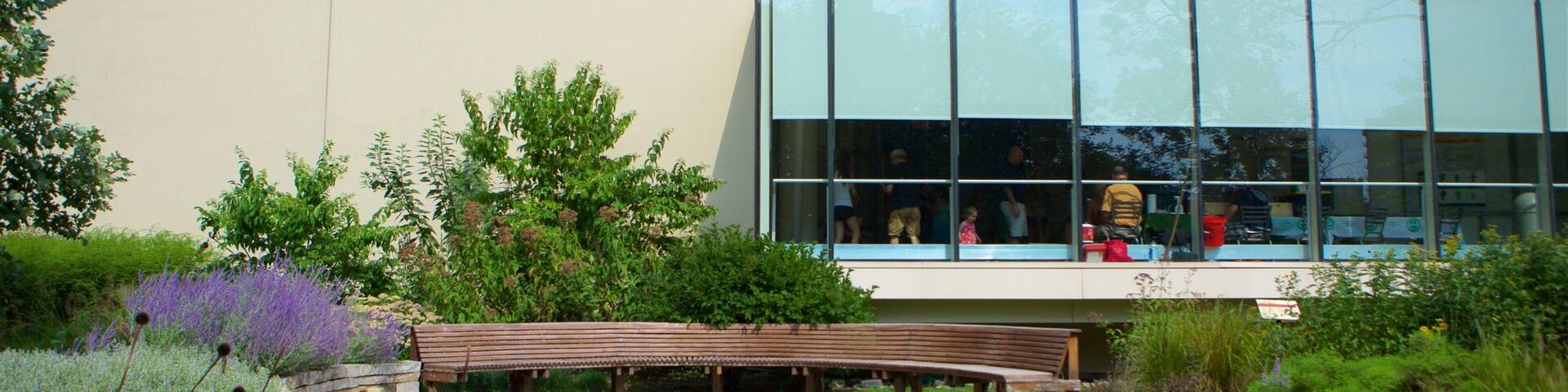 Lakeview featuring a park